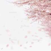 ヒメ日記 2026/03/19 07:29 投稿 ねね YESグループ　華女