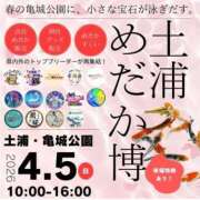 ヒメ日記 2026/04/02 07:00 投稿 ねね YESグループ　華女