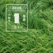 ヒメ日記 2026/09/01 15:39 投稿 ねね YESグループ　華女