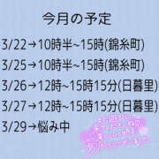 ヒメ日記 2025/03/20 21:01 投稿 はるの 世界のあんぷり亭 錦糸町店