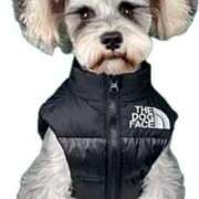 ヒメ日記 2024/12/11 08:35 投稿 春元 熟女の風俗最終章 横浜本店