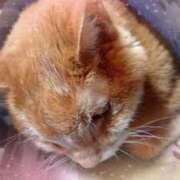 ヒメ日記 2024/12/21 20:43 投稿 春元 熟女の風俗最終章 横浜本店