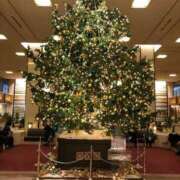 ヒメ日記 2024/12/24 08:16 投稿 春元 熟女の風俗最終章 横浜本店