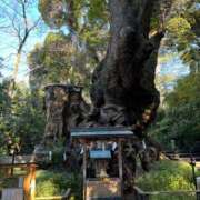 ヒメ日記 2025/01/10 07:40 投稿 春元 熟女の風俗最終章 横浜本店