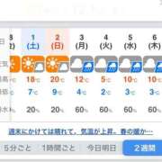 ヒメ日記 2025/02/27 07:18 投稿 春元 熟女の風俗最終章 横浜本店