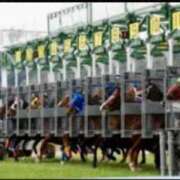 ヒメ日記 2025/04/11 17:15 投稿 春元 熟女の風俗最終章 横浜本店