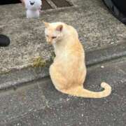 ヒメ日記 2025/09/15 16:25 投稿 春元 熟女の風俗最終章 横浜本店