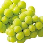 ヒメ日記 2025/09/19 16:21 投稿 春元 熟女の風俗最終章 横浜本店