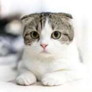 ヒメ日記 2025/10/22 16:07 投稿 春元 熟女の風俗最終章 横浜本店