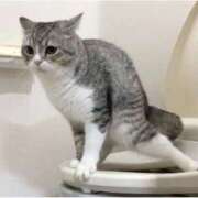 ヒメ日記 2025/11/02 16:24 投稿 春元 熟女の風俗最終章 横浜本店