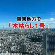 ヒメ日記 2025/11/03 15:45 投稿 春元 熟女の風俗最終章 横浜本店