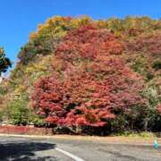 ヒメ日記 2025/11/27 04:45 投稿 春元 熟女の風俗最終章 横浜本店