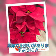 ヒメ日記 2025/12/10 09:31 投稿 かれん 熟女の風俗最終章 本厚木店