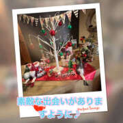 ヒメ日記 2025/12/19 09:31 投稿 かれん 熟女の風俗最終章 本厚木店