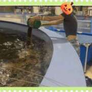 ヒメ日記 2025/09/18 16:34 投稿 こはる LOVE CLOVER（らぶくろーばー）