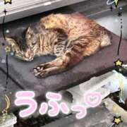 ヒメ日記 2025/10/01 12:23 投稿 青田 池袋角海老