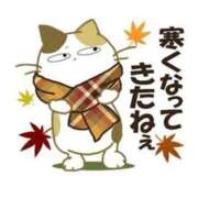 ヒメ日記 2025/11/07 12:57 投稿 青田 池袋角海老