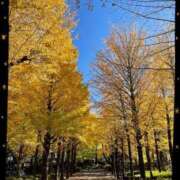 ヒメ日記 2025/12/02 15:53 投稿 青田 池袋角海老