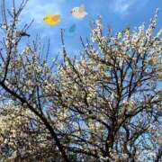 青田 にゃっす(^.^) 池袋角海老