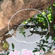 青田 にゃっす(๑˃̵ᴗ˂̵) 池袋角海老