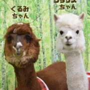 ヒメ日記 2025/06/05 06:03 投稿 三井 池袋角海老