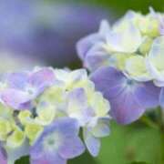 ヒメ日記 2025/06/08 07:33 投稿 三井 池袋角海老