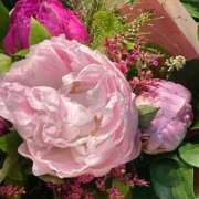 ヒメ日記 2025/06/18 18:43 投稿 三井 池袋角海老