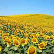 ヒメ日記 2025/06/22 18:53 投稿 三井 池袋角海老