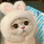 ヒメ日記 2025/06/26 06:03 投稿 三井 池袋角海老