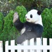 ヒメ日記 2025/06/29 09:23 投稿 三井 池袋角海老