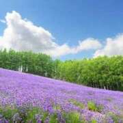 ヒメ日記 2025/07/24 06:13 投稿 三井 池袋角海老