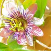 ヒメ日記 2025/08/07 06:13 投稿 三井 池袋角海老