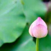 ヒメ日記 2025/08/10 11:18 投稿 三井 池袋角海老