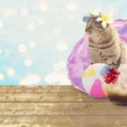 ヒメ日記 2025/08/17 06:03 投稿 三井 池袋角海老