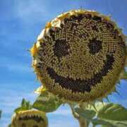 ヒメ日記 2025/08/21 06:03 投稿 三井 池袋角海老