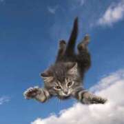 ヒメ日記 2025/09/14 06:13 投稿 三井 池袋角海老