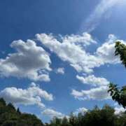 ヒメ日記 2025/09/25 06:13 投稿 三井 池袋角海老