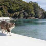 ヒメ日記 2025/10/02 06:13 投稿 三井 池袋角海老