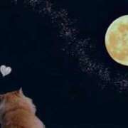 ヒメ日記 2025/10/05 06:13 投稿 三井 池袋角海老