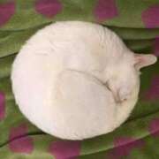 ヒメ日記 2025/10/12 06:03 投稿 三井 池袋角海老