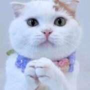 ヒメ日記 2025/10/26 06:03 投稿 三井 池袋角海老