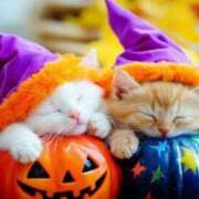 ヒメ日記 2025/10/30 06:03 投稿 三井 池袋角海老