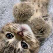 ヒメ日記 2025/11/06 06:13 投稿 三井 池袋角海老