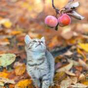 ヒメ日記 2025/11/20 06:13 投稿 三井 池袋角海老