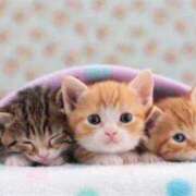 ヒメ日記 2025/11/23 06:03 投稿 三井 池袋角海老