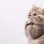 ヒメ日記 2025/11/27 06:13 投稿 三井 池袋角海老