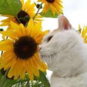 ヒメ日記 2025/11/30 06:13 投稿 三井 池袋角海老