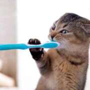 ヒメ日記 2025/12/04 12:03 投稿 三井 池袋角海老