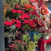 三井 いつもの出来事って 池袋角海老