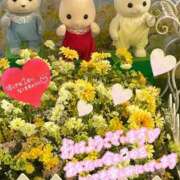 ヒメ日記 2026/03/08 06:13 投稿 三井 池袋角海老